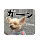 福1001（個別スタンプ：8）