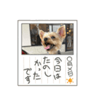 福1001（個別スタンプ：21）