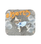 福1001（個別スタンプ：22）