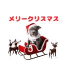 クリスマス可愛いわんこ（個別スタンプ：25）