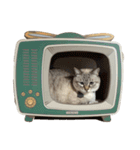 テンとココ（個別スタンプ：12）