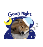 柴犬ちゃまちぃ日常使い（個別スタンプ：9）