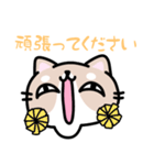 敬語 くちながシバねこ（個別スタンプ：15）