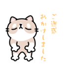 敬語 くちながシバねこ（個別スタンプ：25）