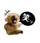 るくと時々ぽん太（個別スタンプ：4）