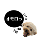 るくと時々ぽん太（個別スタンプ：6）