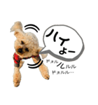るくと時々ぽん太（個別スタンプ：8）