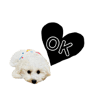 るくと時々ぽん太（個別スタンプ：9）