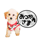 るくと時々ぽん太（個別スタンプ：11）