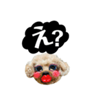 るくと時々ぽん太（個別スタンプ：14）