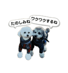 るくと時々ぽん太（個別スタンプ：17）