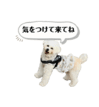 るくと時々ぽん太（個別スタンプ：20）