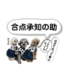 るくと時々ぽん太（個別スタンプ：27）