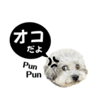 るくと時々ぽん太（個別スタンプ：34）