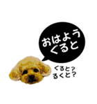 るくと時々ぽん太（個別スタンプ：35）