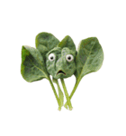 野菜たちの気分スイッチ（個別スタンプ：13）