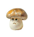 野菜たちの気分スイッチ（個別スタンプ：14）