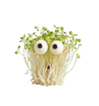 野菜たちの気分スイッチ（個別スタンプ：30）