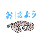 ゆるーいレオパちゃん（個別スタンプ：1）
