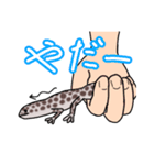 ゆるーいレオパちゃん（個別スタンプ：6）