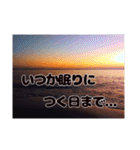 夕暮れの海【真剣恋愛ギャグバージョン】（個別スタンプ：15）