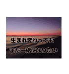 夕暮れの海【真剣恋愛ギャグバージョン】（個別スタンプ：20）