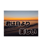 夕暮れの海【真剣恋愛ギャグバージョン】（個別スタンプ：24）