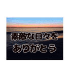 夕暮れの海【真剣恋愛ギャグバージョン】（個別スタンプ：28）