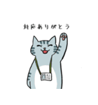 コールセンターのねこ（個別スタンプ：18）