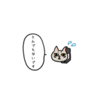 コールセンターのねこ（個別スタンプ：36）