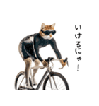 猫の変なポーズスタンプ（個別スタンプ：3）
