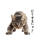 猫の変なポーズスタンプ（個別スタンプ：9）