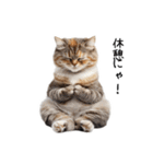 猫の変なポーズスタンプ（個別スタンプ：18）