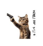 猫の変なポーズスタンプ（個別スタンプ：22）
