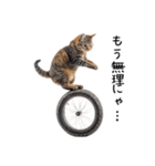 猫の変なポーズスタンプ（個別スタンプ：24）