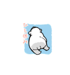 まるぷちシロクマちゃん。（個別スタンプ：12）