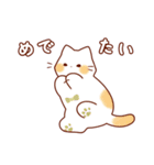 ふんわりシロねこ（個別スタンプ：36）