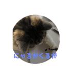 お猫の生き様（個別スタンプ：6）
