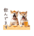 よっぱらい♡柴犬（個別スタンプ：12）