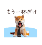 よっぱらい♡柴犬（個別スタンプ：16）