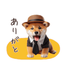 よっぱらい♡柴犬（個別スタンプ：21）