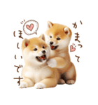 柴犬の年末年始♡挨拶♡メリクリ♡あけおめ（個別スタンプ：6）