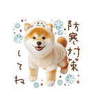 柴犬の年末年始♡挨拶♡メリクリ♡あけおめ（個別スタンプ：10）