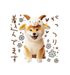 柴犬の年末年始♡挨拶♡メリクリ♡あけおめ（個別スタンプ：12）