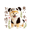 柴犬の年末年始♡挨拶♡メリクリ♡あけおめ（個別スタンプ：15）