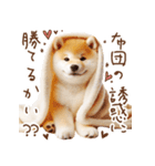 柴犬の年末年始♡挨拶♡メリクリ♡あけおめ（個別スタンプ：18）