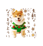 柴犬の年末年始♡挨拶♡メリクリ♡あけおめ（個別スタンプ：28）