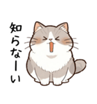 現実逃避したい猫たち（個別スタンプ：1）