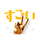 トリトリネトリ（個別スタンプ：8）