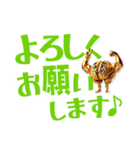 トリトリネトリ（個別スタンプ：20）